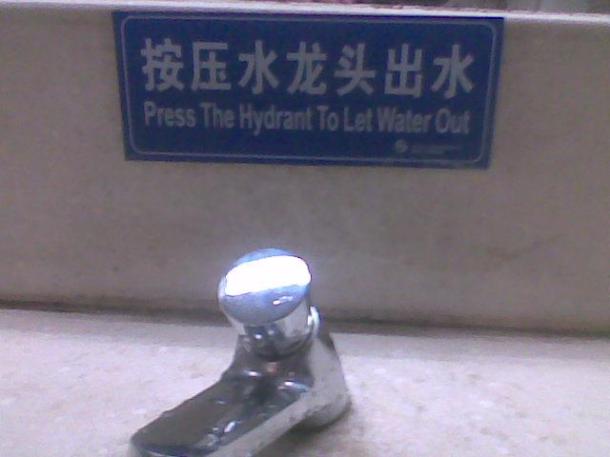 402068_10151064065623411_417081038_n