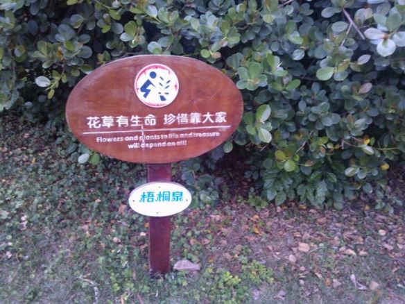 559729_10151373317523411_631412383_n